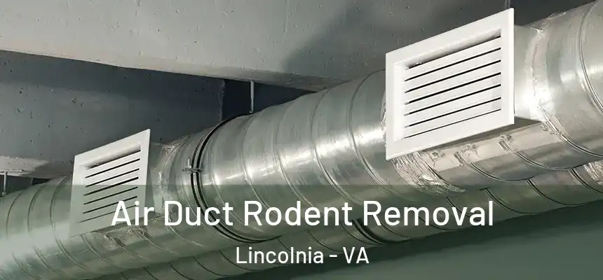 Air Duct Rodent Removal Lincolnia - VA