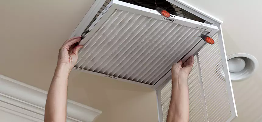 Preventive Cockroach-Proofing for Ducts in Lincolnia