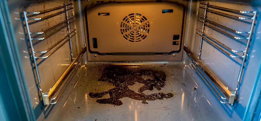 Our Dryer Vent Mold Cleaning Services in Lincolnia, VA