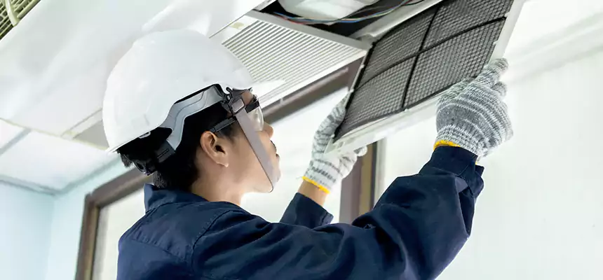 Our Mold & Mildew Removal from Air Ducts Services in Lincolnia, VA