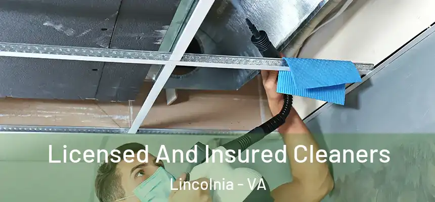 Licensed And Insured Cleaners Lincolnia - VA