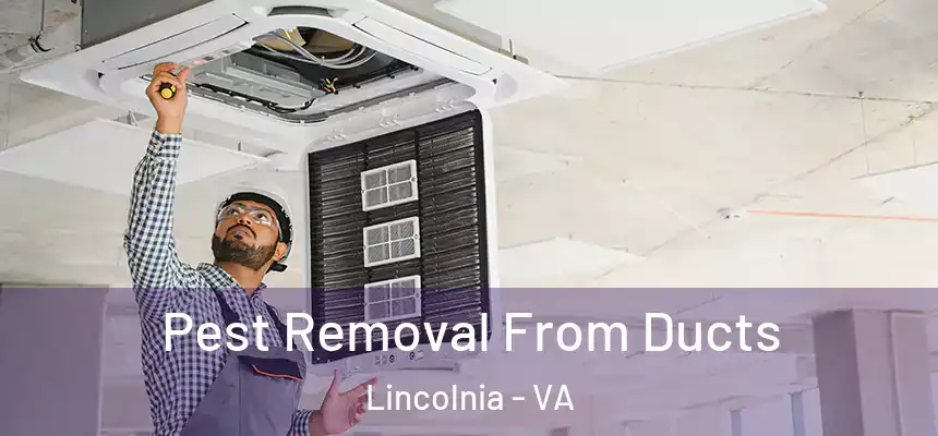 Pest Removal From Ducts Lincolnia - VA