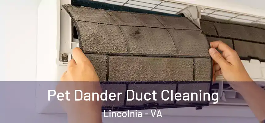  Pet Dander Duct Cleaning Lincolnia - VA