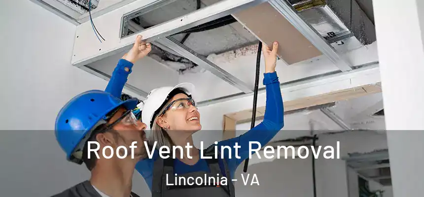 Roof Vent Lint Removal Lincolnia - VA