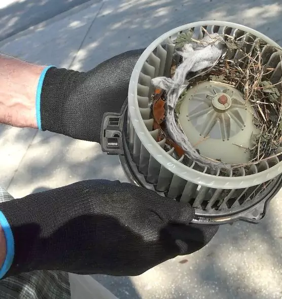 About Air Duct Mice Removal in Lincolnia, VA