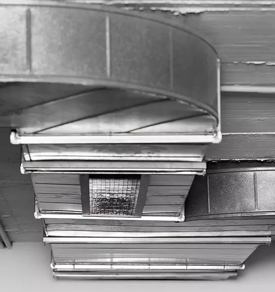 Professional Air Duct Pet Hair Removal in Lincolnia, VA