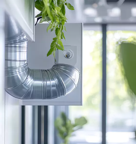 Professional Eco-Safe Dryer Vent Cleaning in Lincolnia, VA