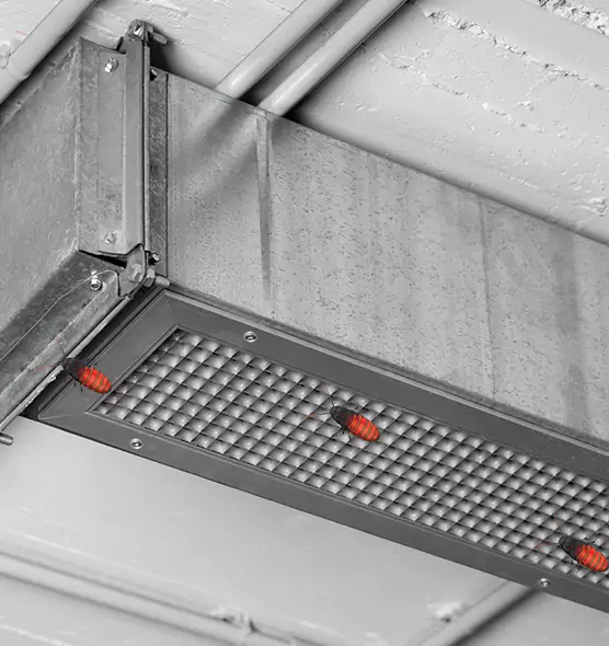 Affordable Insect Removal from Air Ducts in Lincolnia, VA