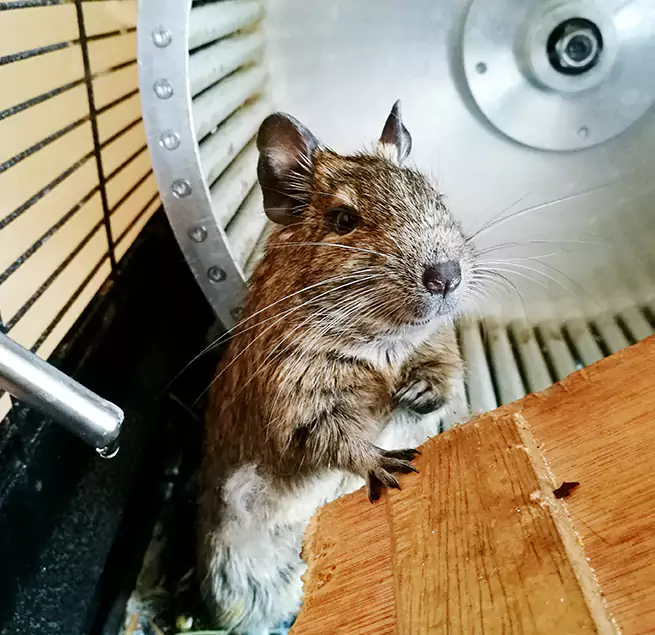 Why Homeowners & Businesses Trust Us Lincolnia, VA